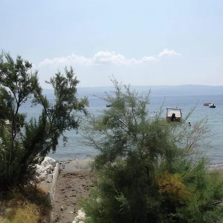 Divlji Cvit * Omiš